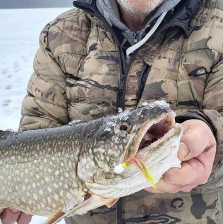 Eagle Lake, Canada lake trout with the Zig Jig still in its mouth, from Barry Leuders