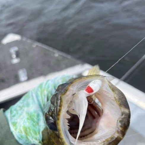 Cameron Gillespie's 35-inch Red Lake, Canada pike with the 1/8 oz white Zig Jig in its mouth, caught on 6 lb fluorocarbon