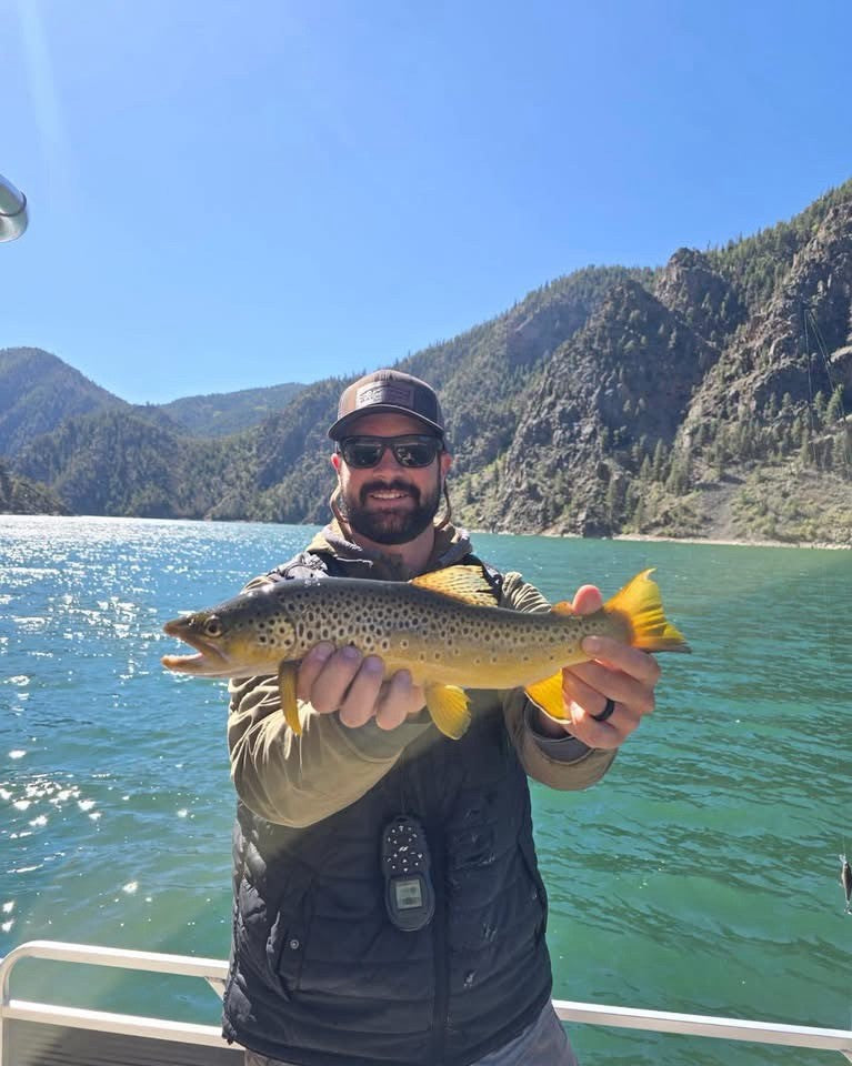 Brown trout from Morrow Point Reservoir in Colorado's Black Canyon of the Gunnison, caught on a Zig Jig with guide Irah
