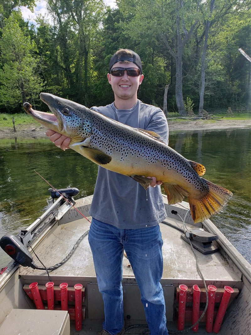 Seth Anderson of Van Buren, Arkansas, with a 12 lb brown trout caught on a Zig Jig and released (May 2020)