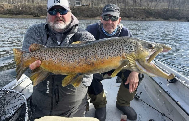 Jack Gaston’s 9.5 lb brown trout from below Bull Shoals Dam, caught on a white Zig Jig (March 2024)