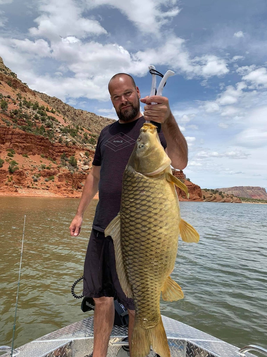 Carp caught on a Zig Jig by Dan Davis