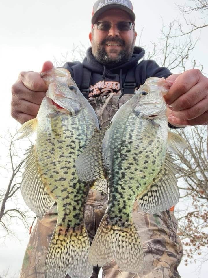 A pair of big crappie caught on Zig Jigs