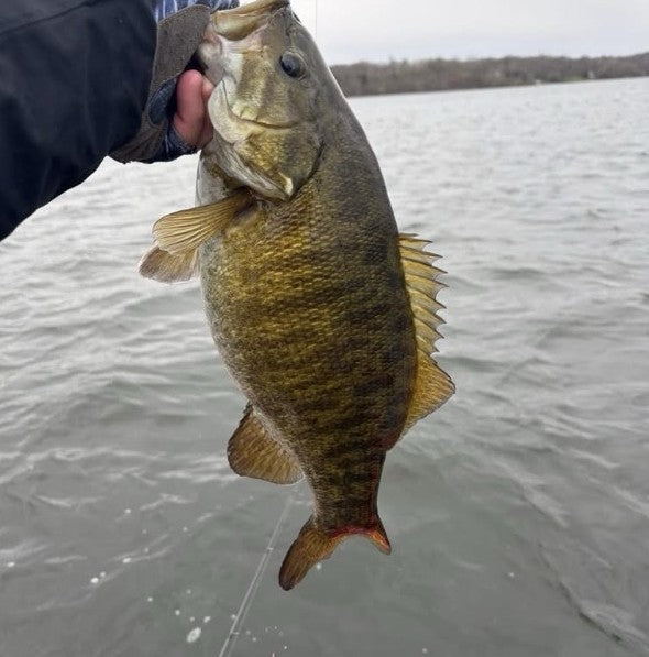 Cameron's Minnesota smallmouth bass caught on a 1/4 oz Tri-Olive Zig Jig