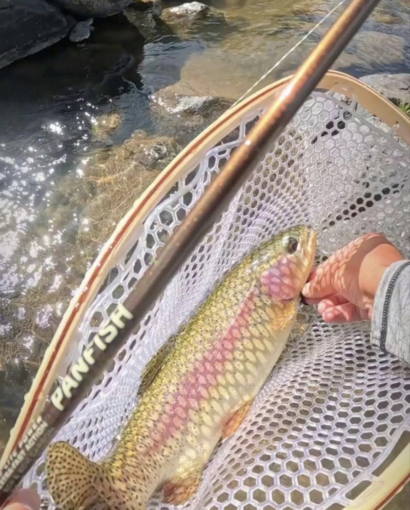 Alex's Truckee River rainbow trout from Nevada, caught on a 1/4 oz black Zig Jig
