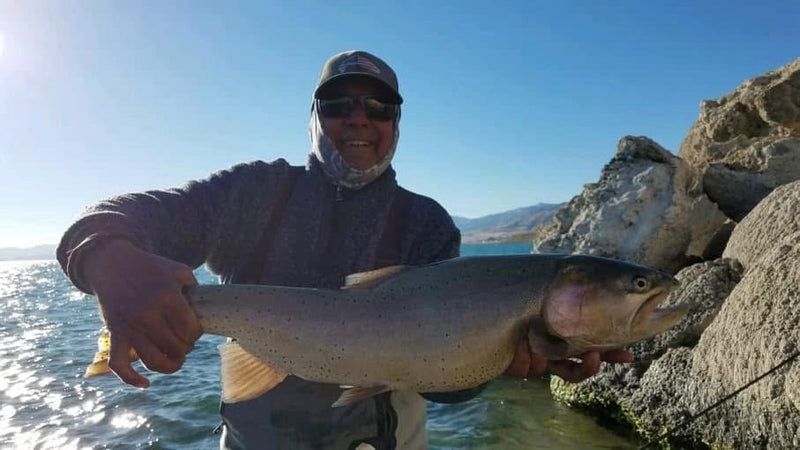 Lahontan cutthroat trout from Pyramid Lake, Nevada, caught on a Super HD Zig Jig