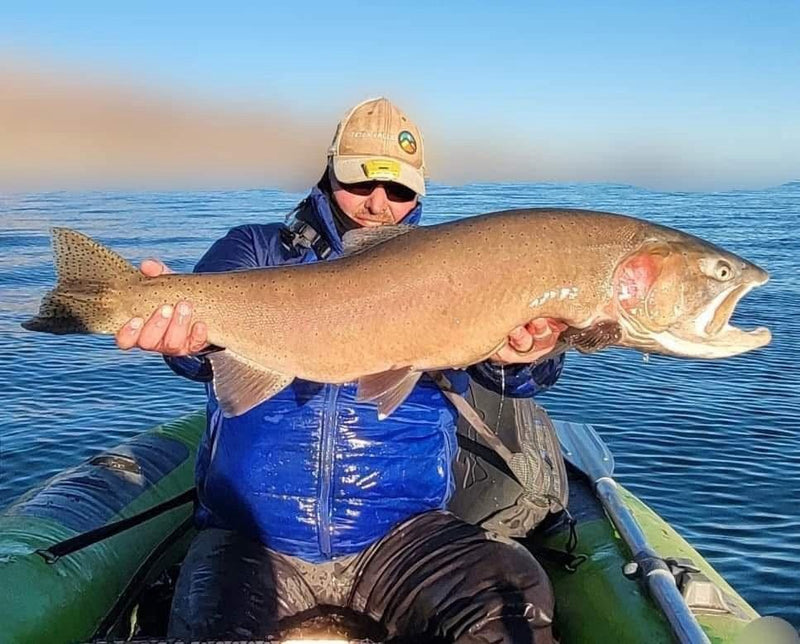 Lahontan cutthroat trout from Pyramid Lake, Nevada, caught on a Super HD Zig Jig