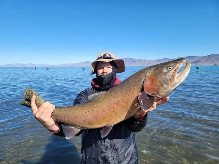Lahontan cutthroat trout from Pyramid Lake, Nevada, caught on a Super HD Zig Jig