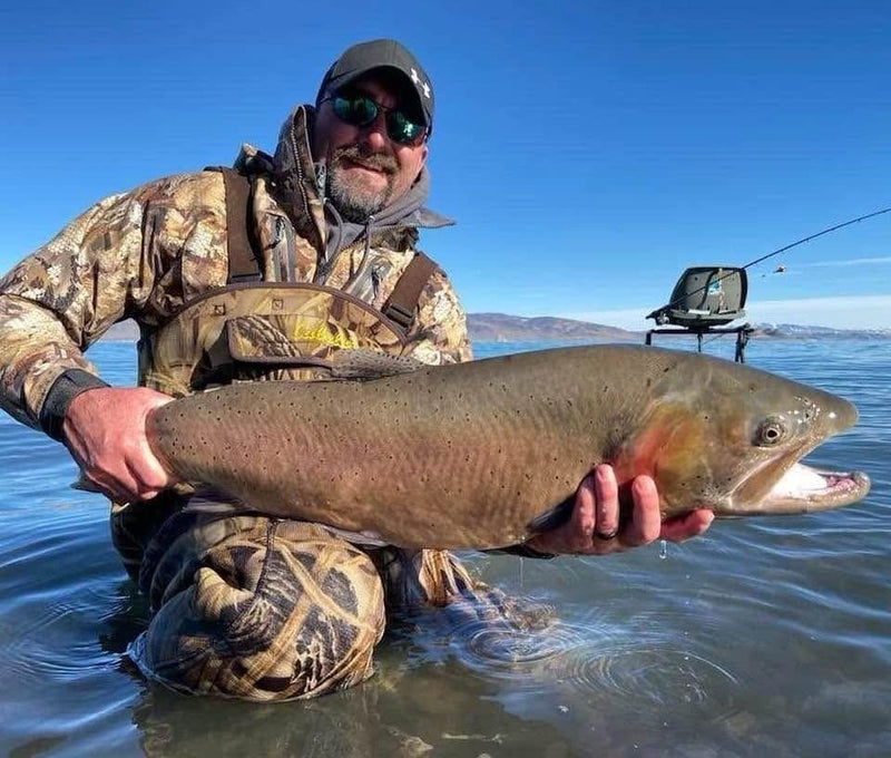 Lahontan cutthroat, Pyramid Lake caught on a Super HD Zig Jig