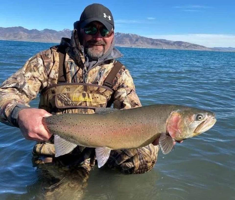 Lahontan cutthroat trout from Pyramid Lake, Nevada, caught on a Super HD Zig Jig
