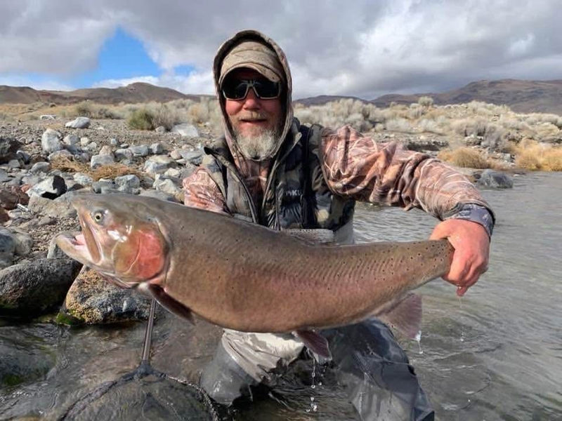 Lahontan cutthroat trout from Pyramid Lake, Nevada, caught on a Super HD Zig Jig
