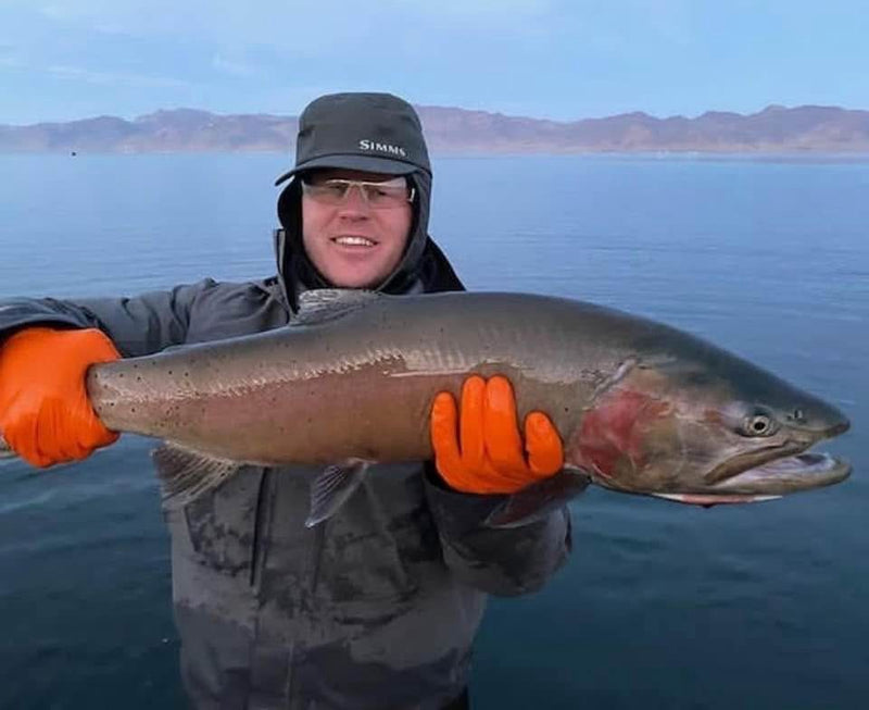 Lahontan cutthroat trout from Pyramid Lake, Nevada, caught on a Super HD Zig Jig