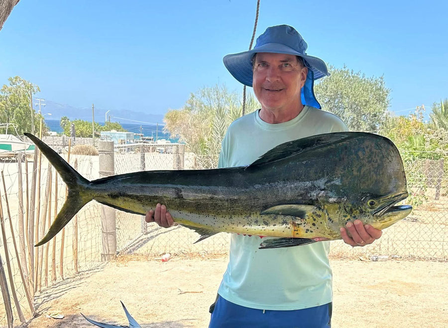 Mahi-mahi caught on a Zig Jig by Randal Vest