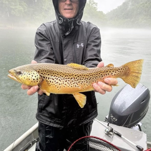 Gary Clark with another Tennessee brown trout caught on a Zig Jig