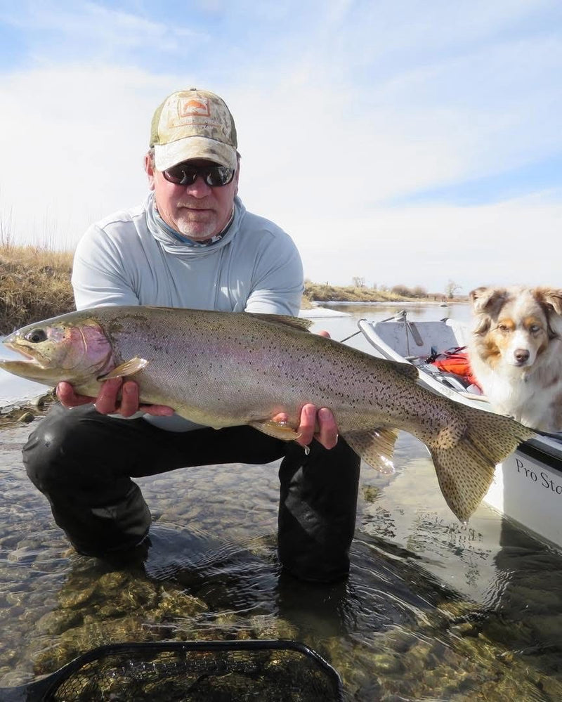 31¼-inch rainbow trout from the Upper Green River at Seedskadee, Wyoming, caught on a Zig Jig