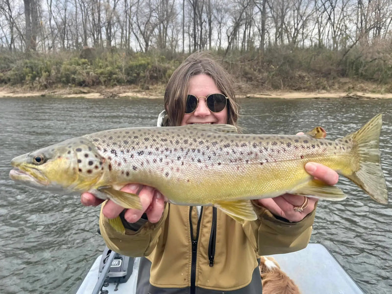 Angler holding a large brown trout
