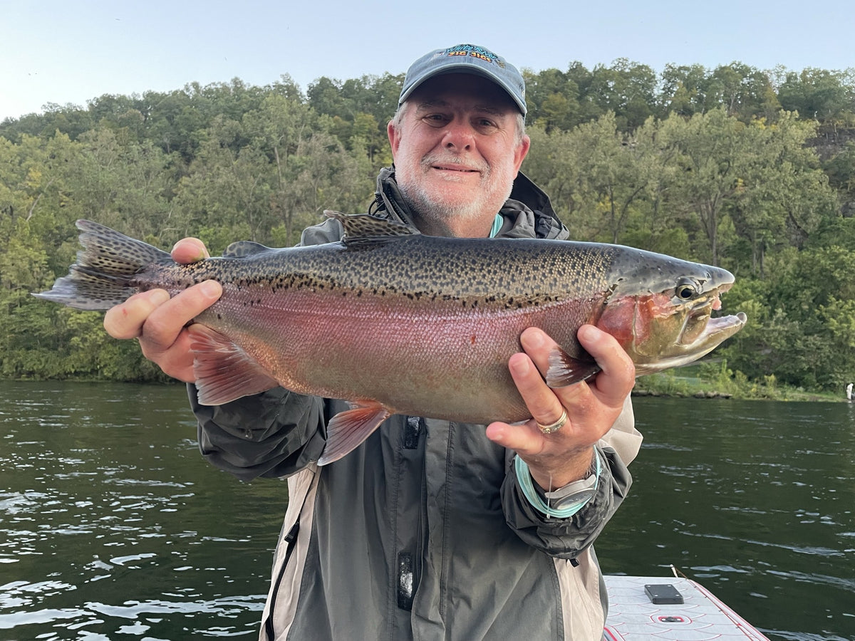 Angler holding a large rainbow trout on the river