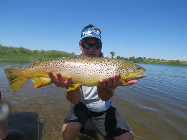 Customer catch on a Zig Jig