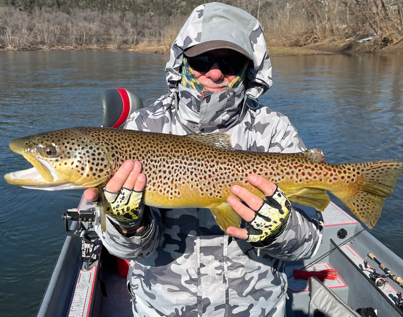 Angler holding a large brown trout in the boat