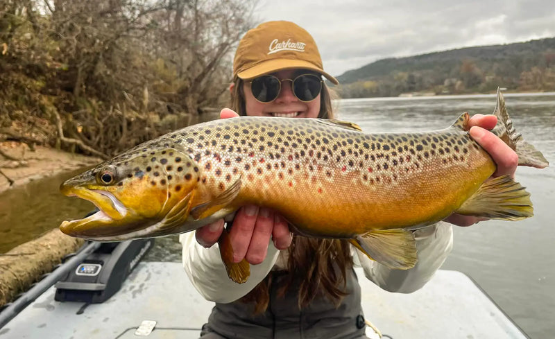 Angler holding a large brown trout